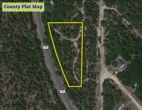 Tbd N Cr 315, Interlachen, FL 32148