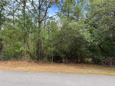 Tbd SW 211th Circle, Dunnellon, FL 34431