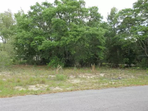 Tbd Fisher Way Drive, Ocklawaha, FL 32179
