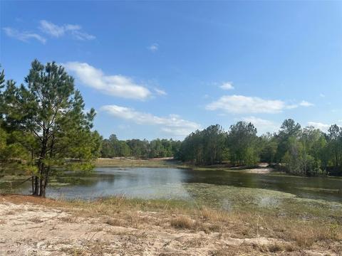 Undetermined, Weirsdale, FL 32195