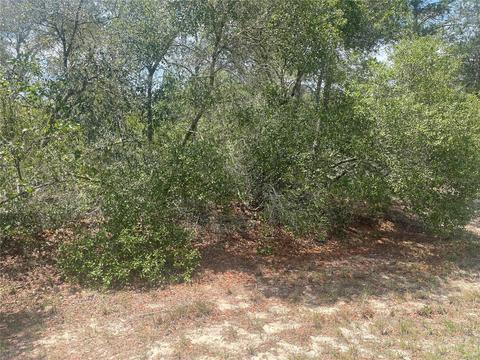 Tbd SW 23rd Ave Road, Ocala, FL 34473