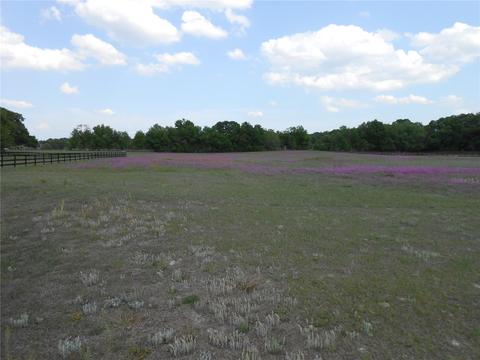 NE 31 Terrace, Ocala, FL 34479