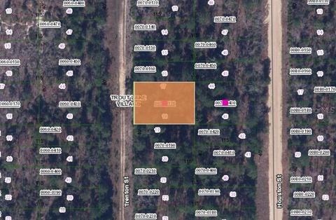 Tbd Trenton Street, Interlachen, FL 32148