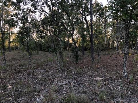 Tbd SW Anchor Boulevard, Dunnellon, FL 34431
