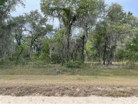 Lot 26 SE 16 Lane, Morriston, FL 32668
