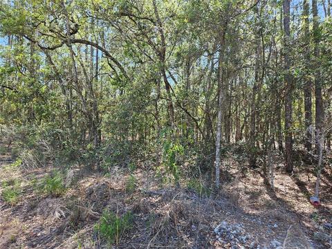 Tbd SW Windinghills Road Blk 9 Lot 13 #BLK 9 13, Dunnellon, FL 34431