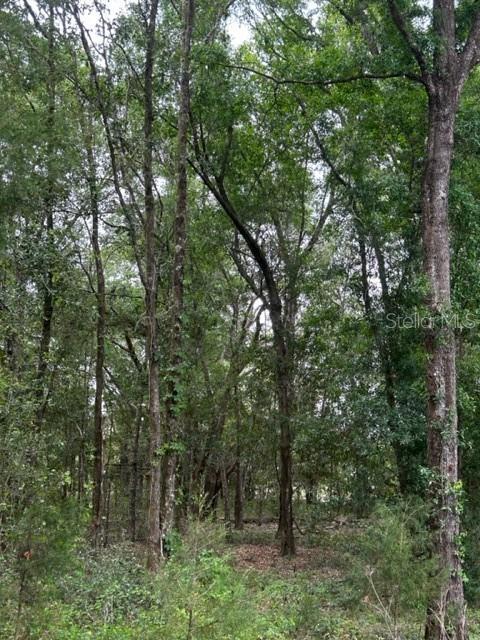 0 SW 106th St #LOT 9, Dunnellon, FL 34432