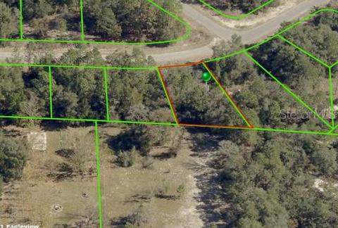 11576 N Condor Dr, Citrus Springs, FL 34433