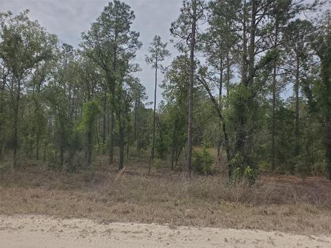 14850 SE 5th Pl, Williston, FL 32696