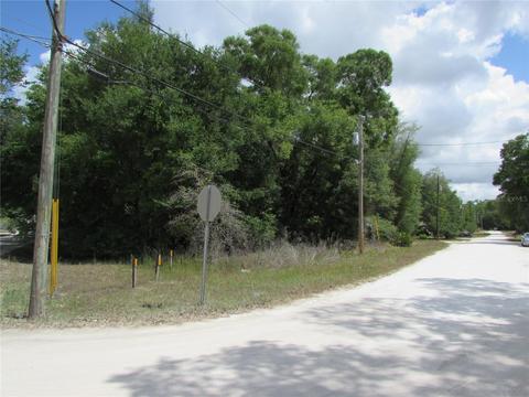 Tbd St Benedict Drive, Dunnellon, FL 34432