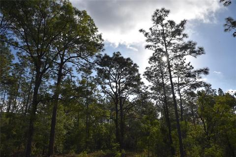 Nw Terrapin Dr, Dunnellon, FL 34431