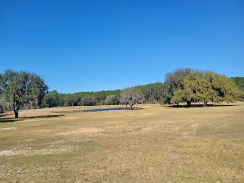 APT 2-ii NE 127th Street, Fort Mc Coy, FL 32134