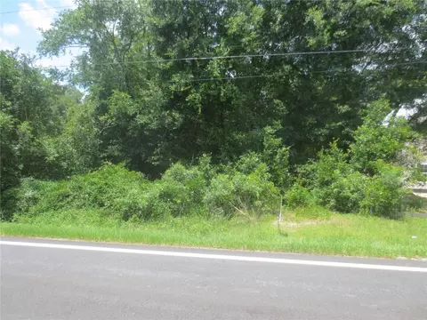 Tbd SE 180th Avenue Road, Ocklawaha, FL 32179