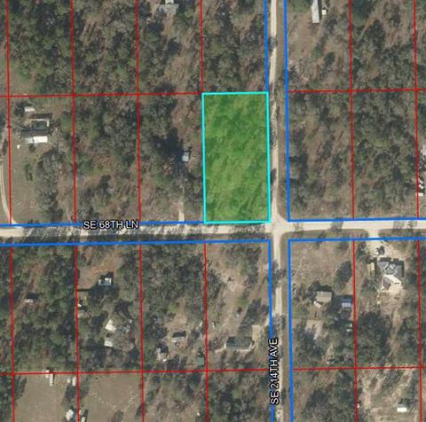 6890 SE 214th Ave, Morriston, FL 32668