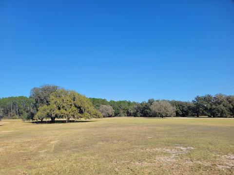 APT 3-ii NE 127th Street, Fort Mc Coy, FL 32134