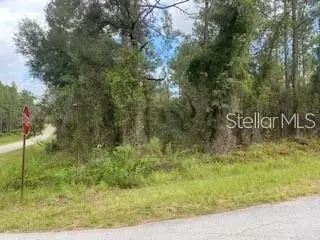 SW Viburnum Road, Dunnellon, FL 34431