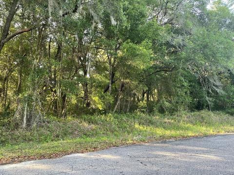 Guava Lane Place, Ocklawaha, FL 32179