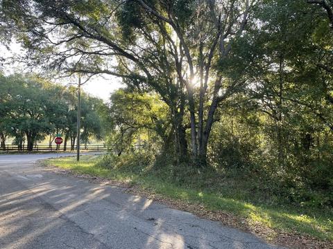 0 Guava Lane Pl, Ocklawaha, FL 32179