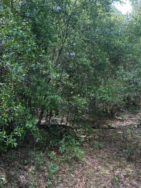 3972 E Grant St, Inverness, FL 34453
