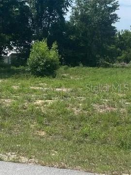 Tbd NW 2nd Street, Ocala, FL 34482