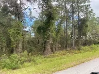 SW Viburnum Road, Dunnellon, FL 34431