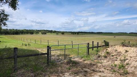 Lot 1 SW Viburnum, Dunnellon, FL 34431