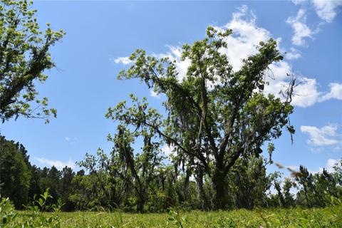 NE County Road 1475, Gainesville, FL 32609