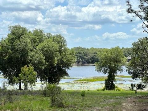 Tbd SE Hwy 42, Weirsdale, FL 32195