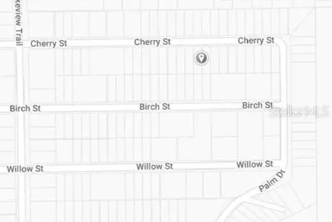 00 Cherry, Interlachen, FL 32148 photo 3
