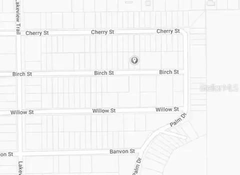 Birch Street, Interlachen, FL 32148 photo 3