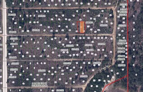 Birch Street, Interlachen, FL 32148 photo 2