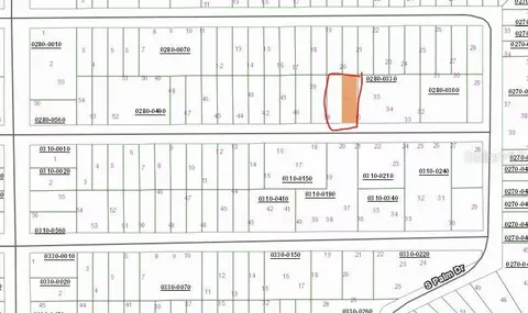 Birch Street, Interlachen, FL 32148