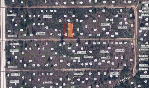 224 Birch St, Interlachen, FL 32148 photo 2