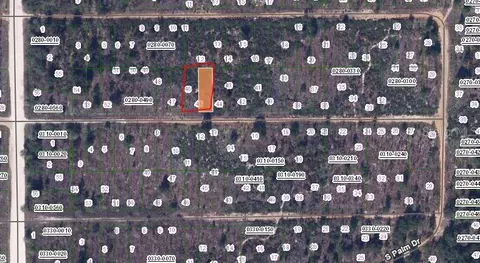 Birch Street, Interlachen, FL 32148 photo 2