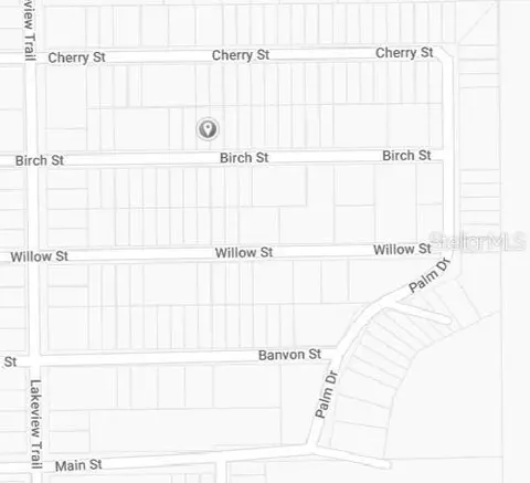Birch Street, Interlachen, FL 32148 photo 3