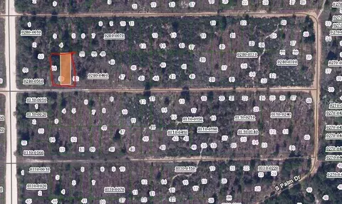 Birch Street, Interlachen, FL 32148 photo 2
