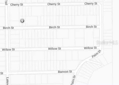 Birch Street, Interlachen, FL 32148 photo 3