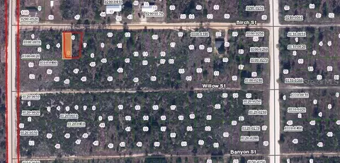 Birch Street, Interlachen, FL 32148 photo 2