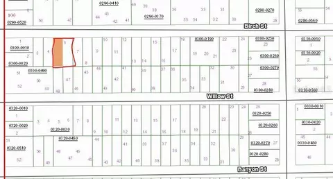 Birch Street, Interlachen, FL 32148