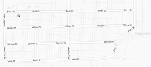 Birch Street, Interlachen, FL 32148 photo 3