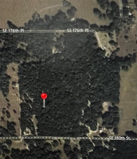 Tbd Se 180th St, Weirsdale, FL 32195