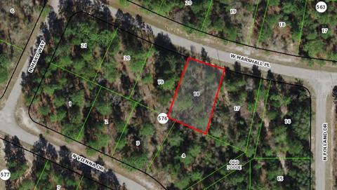 3442 W Marshal Pl, Citrus Springs, FL 34433