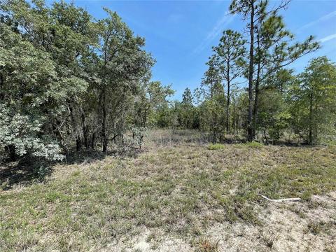 Lot 3 SE 53 Lane, Morriston, FL 32668
