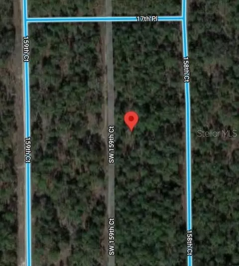 SW 159th Avenue, Ocala, FL 34481
