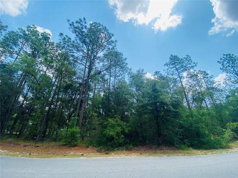 Lot 62 SW 203 Avenue, Dunnellon, FL 34431