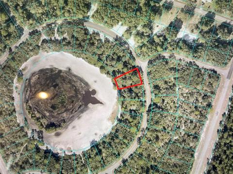 58 Fisher Loop, Ocklawaha, FL 32179