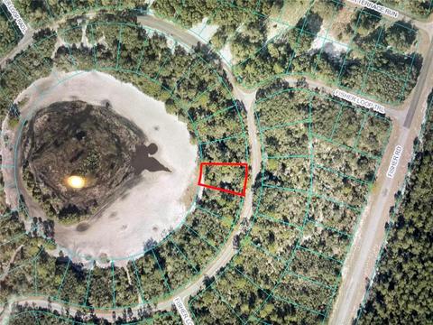 Tbd Fisher Loop, Ocklawaha, FL 32179