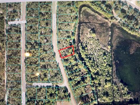 Tbd Maluka Pass, Ocklawaha, FL 32179