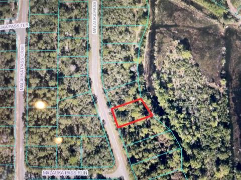 Tbd Malauka Pass, Ocklawaha, FL 32179