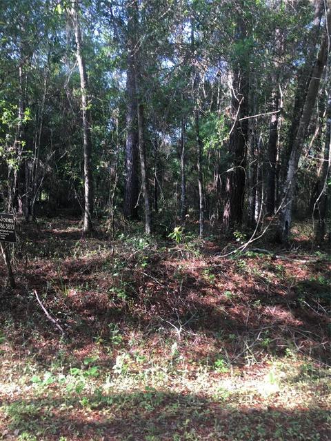 Lot 9 SE 100 Place, Ocklawaha, FL 32179
